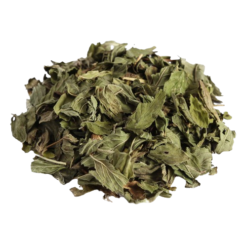 Марокканская мята